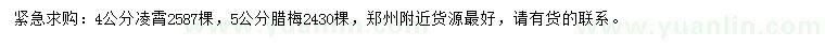 求購4公分凌霄、5公分臘梅