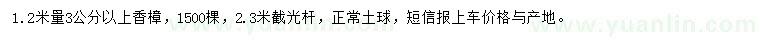 求購1.2米量3公分以上香樟