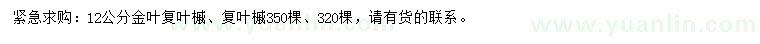 求購(gòu)12公分金葉復(fù)葉槭、復(fù)葉槭