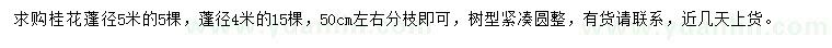 求購(gòu)蓬徑4、5米八月桂