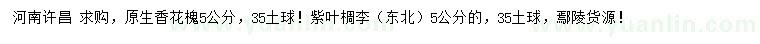 求購(gòu)5公分原生香花槐、紫葉椆李
