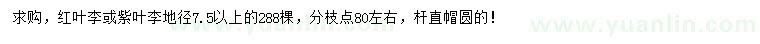 求購地徑7.5公分以上紅葉李、紫葉李