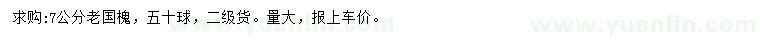 求購7公分老國槐