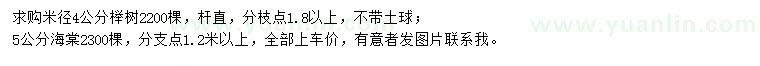 求購(gòu)米徑4公分櫸樹、5公分海棠