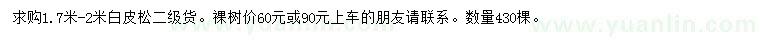 求購1.7-2米白皮松