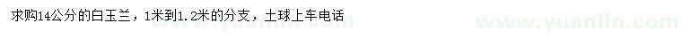 求購14公分白玉蘭