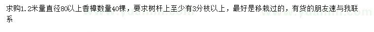 求購1.2米量直徑80公分以上香樟