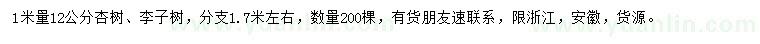 求購1米量12公分杏樹、李子樹