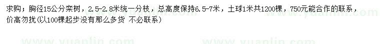 求購(gòu)胸徑15公分欒樹
