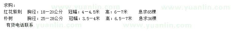 求購18-20公分紅花紫荊、25-28公分樸樹