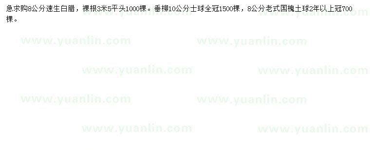 求購速生白蠟、垂柳、國槐