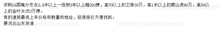 求購國槐、衛(wèi)矛、爬山虎等