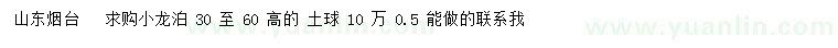 求購高30-60公分小龍柏