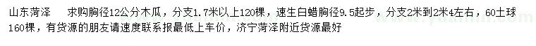 求購胸徑12公分木瓜、胸徑9.5公分起步白蠟
