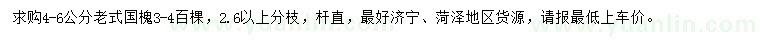 求購4-6公分老式國槐