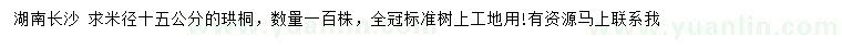 求購米徑15公分珙桐