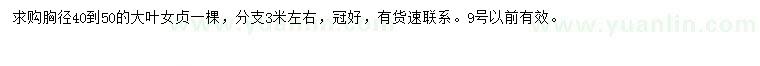 求購胸徑40-50公分大葉女貞