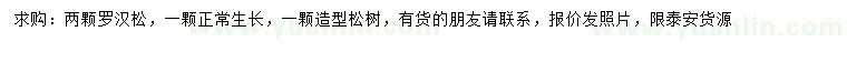 求購羅漢松