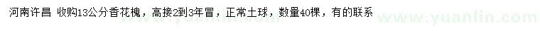 求購13公分香花槐