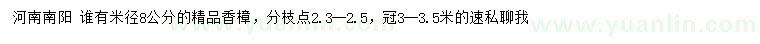 求購米徑8公分香樟