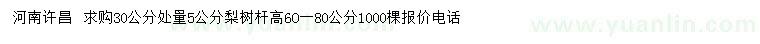 求購30公分處量5公分梨樹