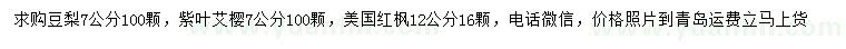 求購豆梨、紫葉艾櫻、美國紅楓