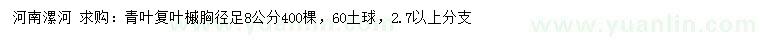 求購胸徑足8公分青葉復(fù)葉槭