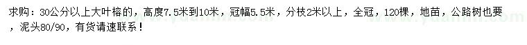 求購30公分以上大葉榕