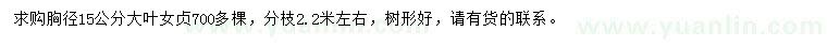 求購胸徑15公分大葉女貞