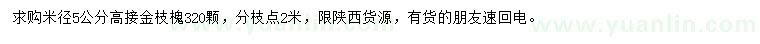 求購米徑5公分高接金枝槐