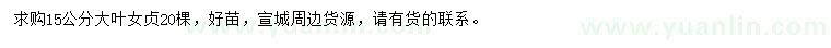 求購15公分大葉女貞