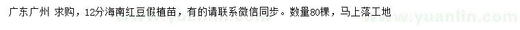 求購(gòu)12公分海南紅豆假植苗
