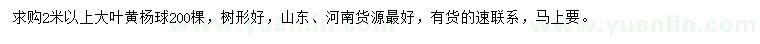 求購(gòu)2米以上大葉黃楊球