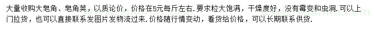求購大皂角、皂角莢