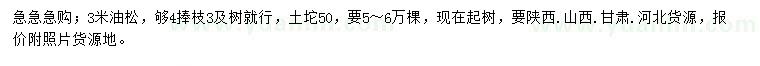 求購3米油松