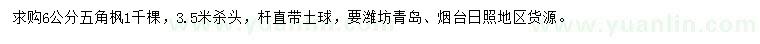求購6公分五角楓