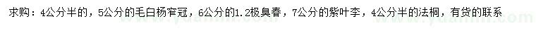 求購(gòu)毛白楊、臭椿、紫葉李等