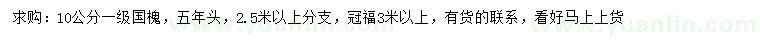求購10公分國槐