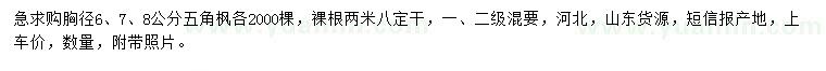 求購(gòu)胸徑6、7、8公分五角楓