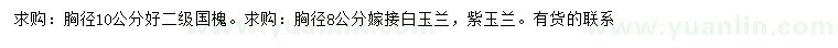 求購國槐、嫁接白玉蘭、紫玉蘭