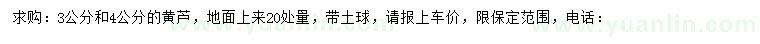 求購20處量3、4公分黃蘆