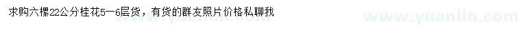 求購22公分桂花