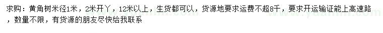 求購米徑1米黃角樹