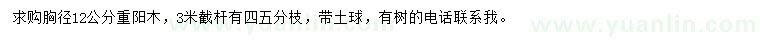 求購胸徑12公分重陽木