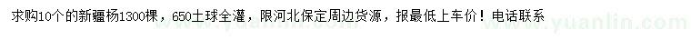 求購10公分新疆楊