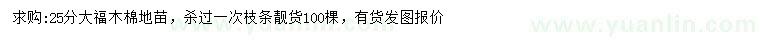 求購(gòu)25公分大腹木棉地苗