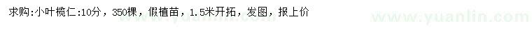 求購10公分小葉欖仁