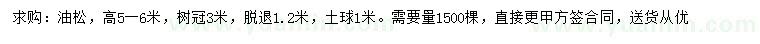 求購高5-6米油松
