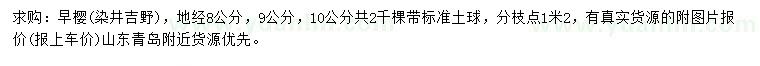 求購地徑8、9、10公分早櫻（染井吉野）