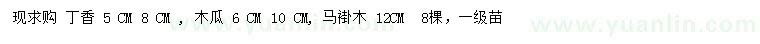 求購丁香、木瓜、馬褂木